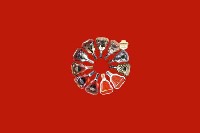 西安市临潼区回收红酒